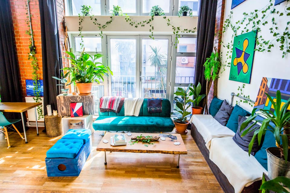Teal velvet sofas and house plants in the double-height main room