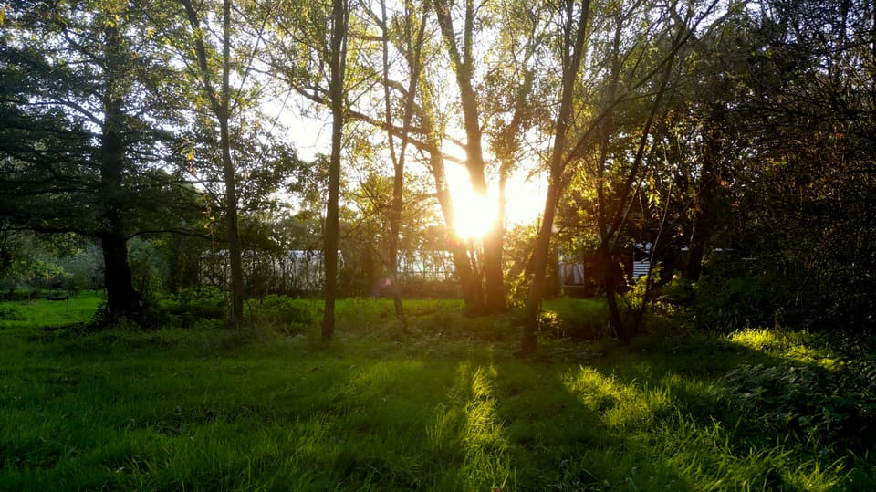 Selgars Mill, Devon