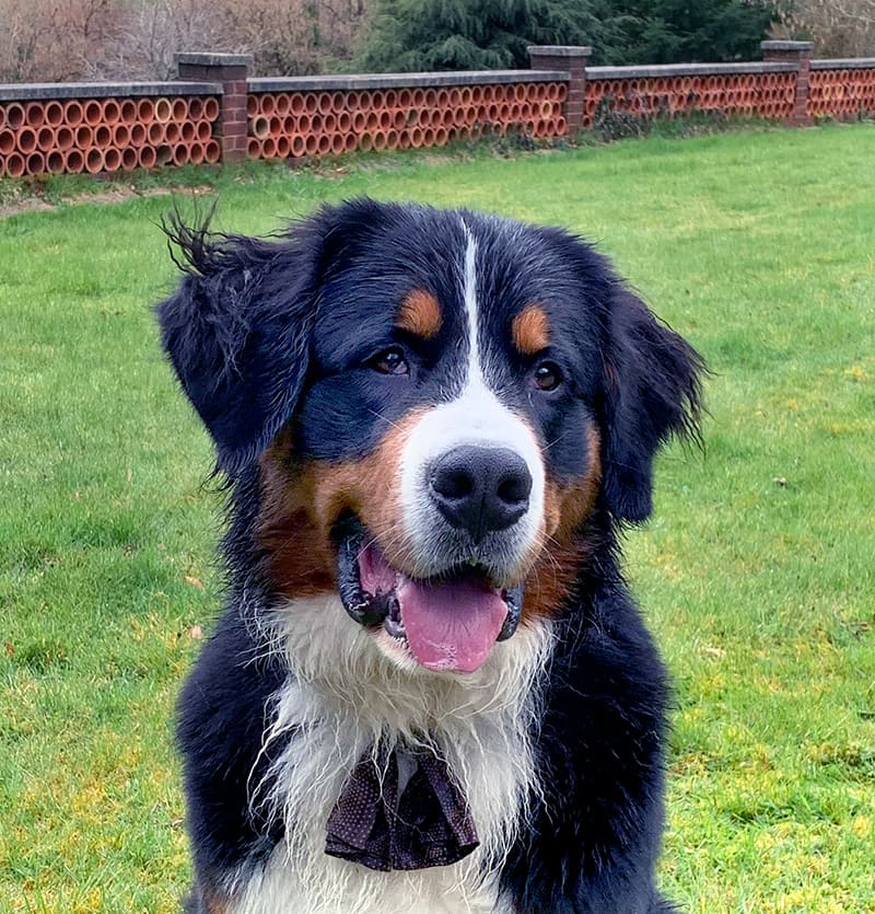 Zuko