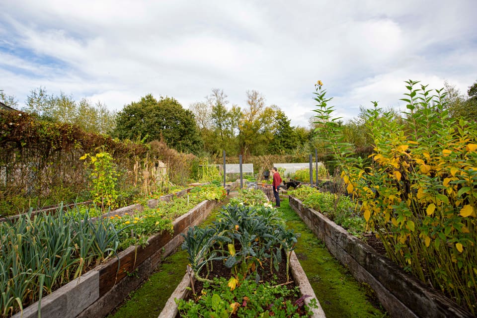 Raised vegetable beds in the walled garden at Selgars Mill